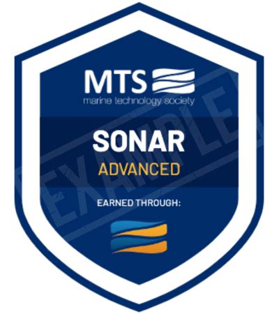 Image result for Micro Credentials Examples