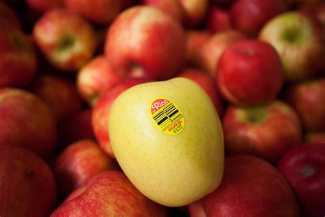 Apple-Bloom-8 - Rice Fruit Company