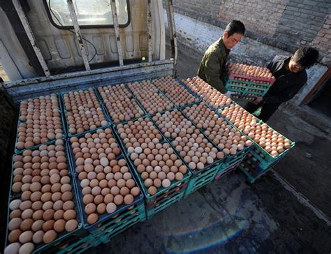 往超市送鸡蛋的生意怎么做？这几点需谨记