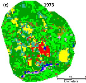 LAND USE CHANGES WITH THE IMPLEMENTATION OF DEVELOPMENTAL PROJECTS IN ...