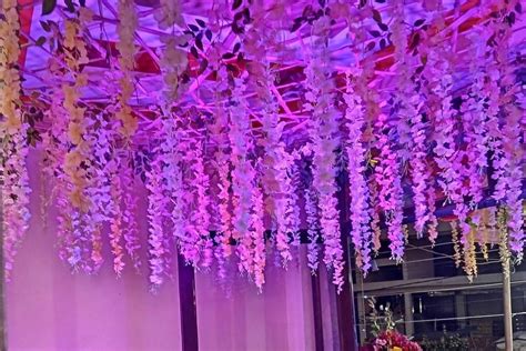 Radhe Krishna Marriage Hall - Venue - Alambagh - Weddingwire.in