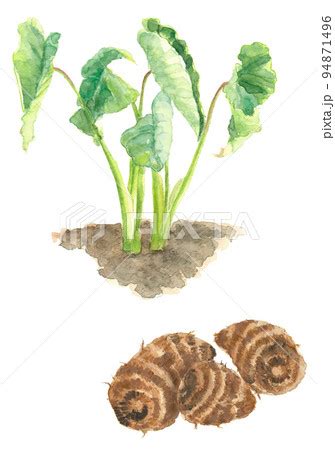 Image result for Alien Animal Simple