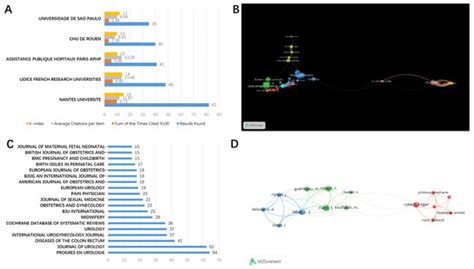 Bibliometric Analysis of Research Relating to Perineal Pain Reported ...