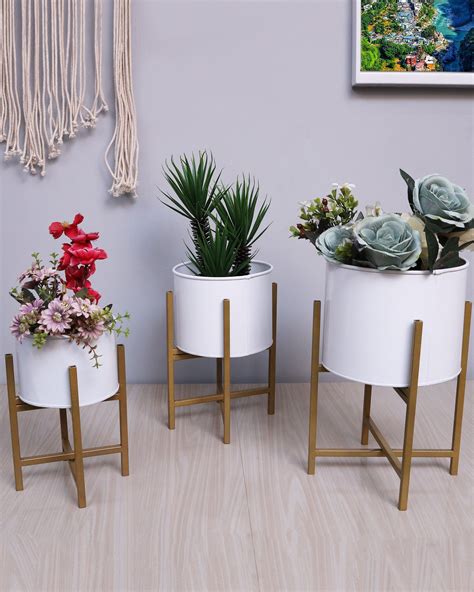 Plants & Planters – Homesake.in