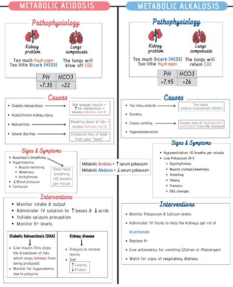 Metabolic Acidosis & Alkalosis | Causes, Symptoms, and Treatment