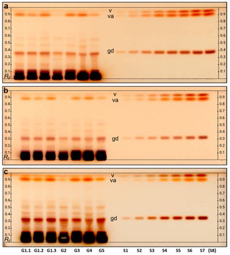 IJMS | Special Issue : Biological Properties of Medicinal Plants