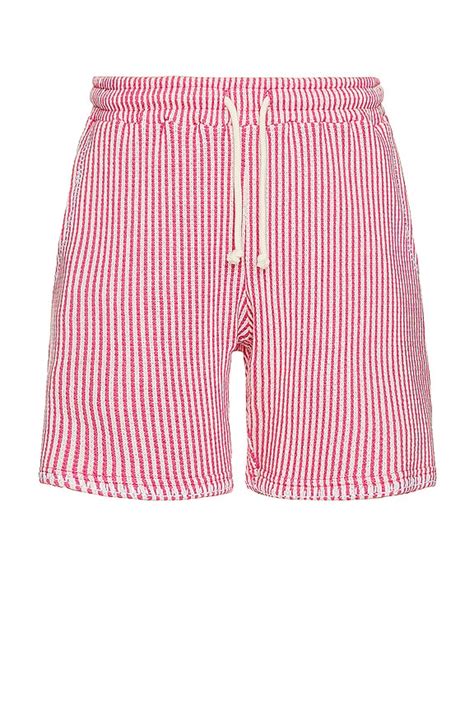 KROST Striped Knit Shorts in Cactus Flower | REVOLVE