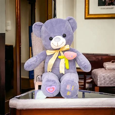 Teddyera : A Premium Indian Brand Dedicated To Teddy Bears
