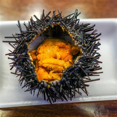 How To Cook Sea Urchin Roe at Sophie Olsen blog