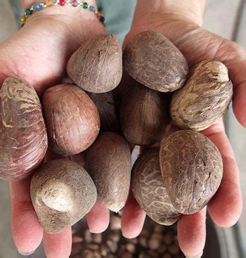 Paja Toquilla Hats – ARTESANIA NATIVA