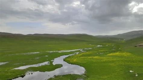 Image result for Aerial Spring