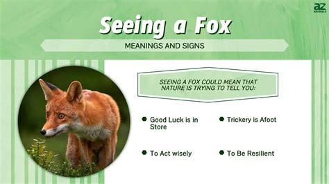 Meaning Of Fox Spirit Guide at Sheila Tejada blog