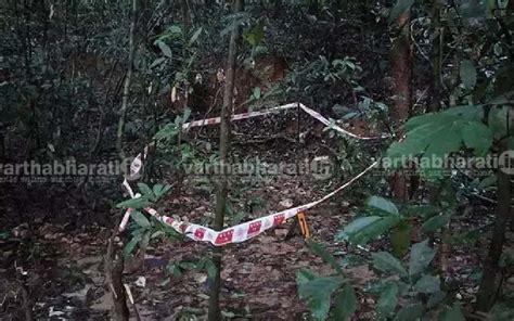 Sujatha Bhatt’s lawyer presses SIT for GPR use to locate burials in ...