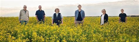 North Prairie Gold Extra Virgin Canola Oil, Cold Pressed, 250ml ...