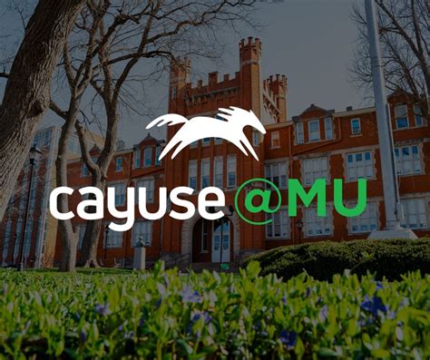 Image result for Cayuse Save Function