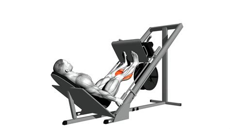 Calf Extension Leg Press Machine at Theresa Hanson blog