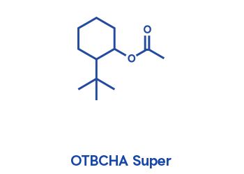 Fragrance Solution, Aroma Fragrance - Eternis