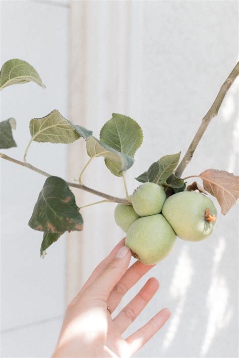 U Nail Spa – U Nail Spa in Enfield, CT