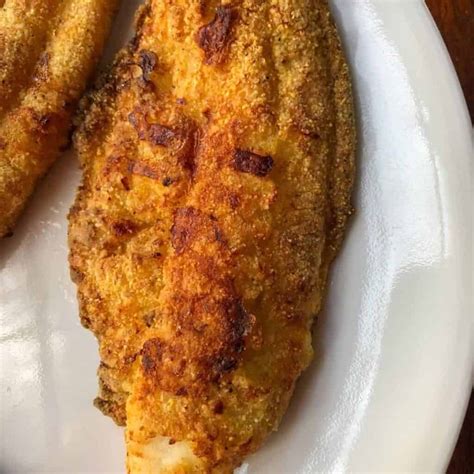 Crispy Southern Air Fryer Catfish Recipe - EasyHealth Living