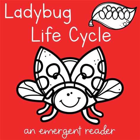 Image result for Ladybug Life Cycle Printable