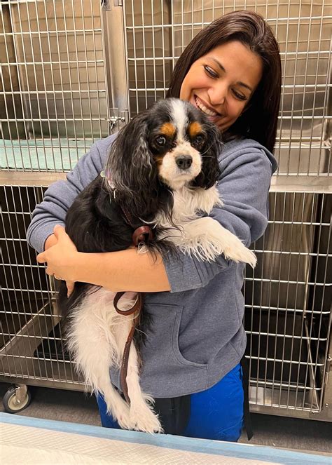 MEDVET SILICON VALLEY - San Jose CA - Hours, Directions, Reviews - Loc8NearMe