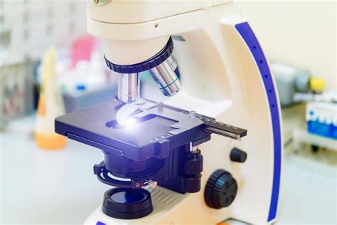 Laboratory Microscope 的图像结果