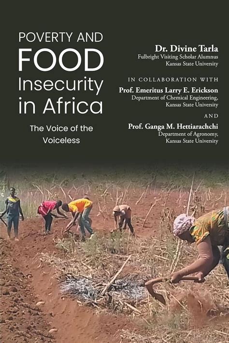 Poverty and Food Insecurity in Africa: The Voice of the Voiceless eBook ...