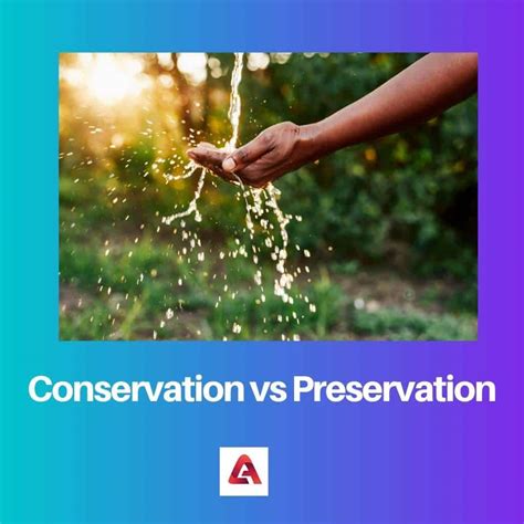 Conservation vs Preservation: Difference and Comparison