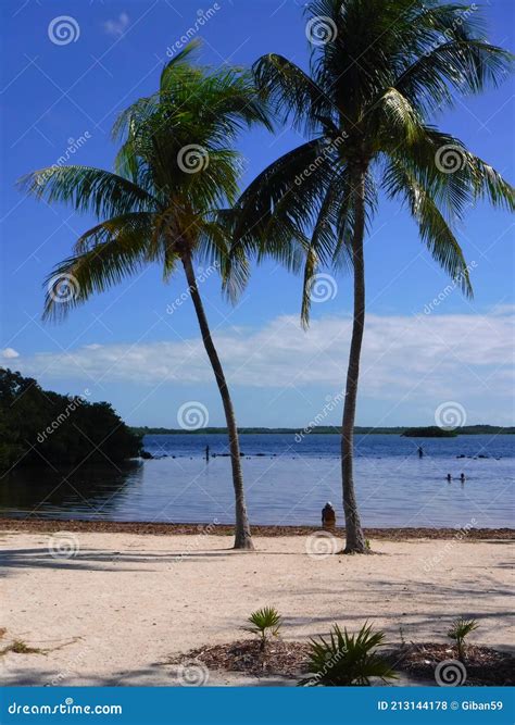 North America, USA, Florida, Key Largo, Cannon Beach Stock Photo ...
