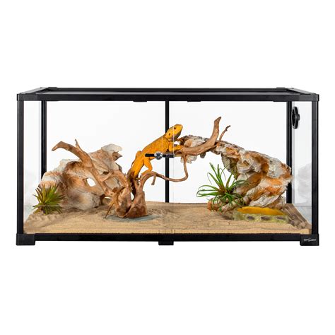 GUZZLO 40 Gallon Terrarium | Wayfair