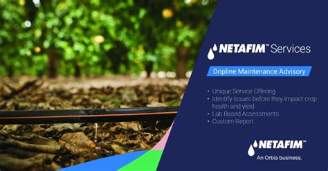 Image result for Netafim Problems