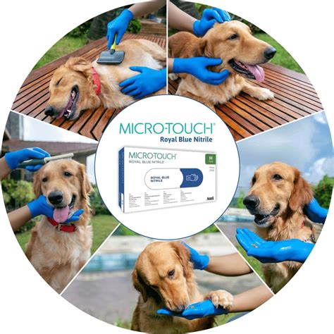 Buy ANSELL MICRO TOUCH ROYAL BLUE POWDER FREE NITRILE - LARGE Online ...