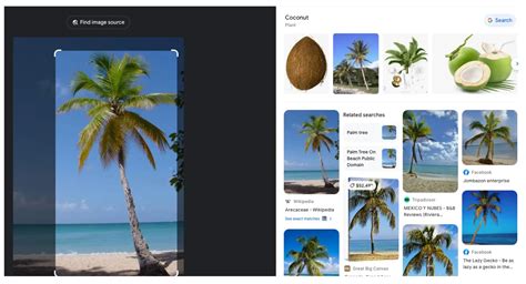 Image result for Image Visual Search Query Image