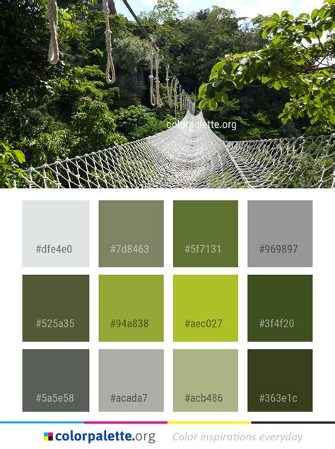 Nature Color 的图像结果