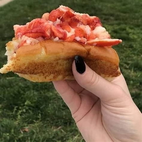 Lobster Dogs back at Armored Cow, Armored Cow Brewing Co., Charlotte ...