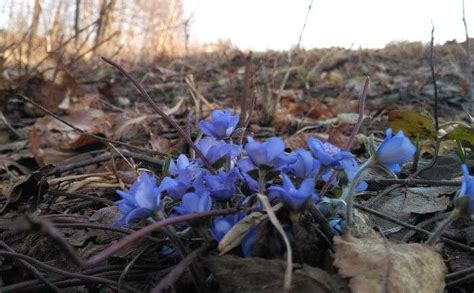 10 Best National Parks In Latvia For An Adventurous Vacay