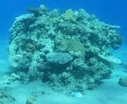 Dr. Arijit Sur, Professor, IIT Guwahati