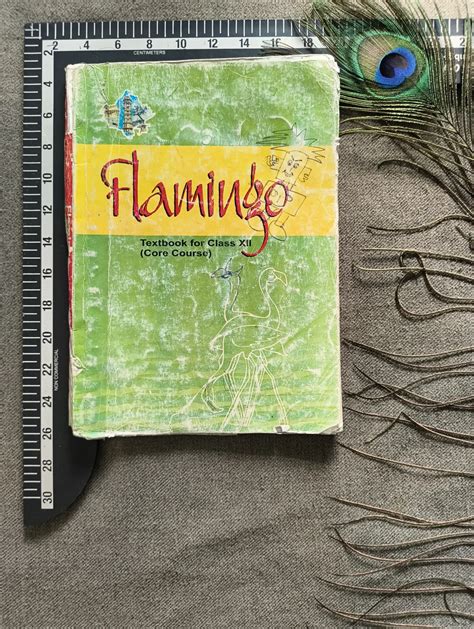 Flamingo – Textbook in English (Core Course), Class 12 - PustakMart