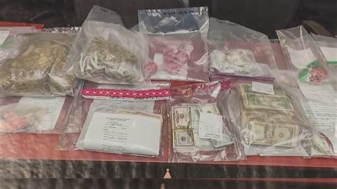 Pinellas County’s ‘Operation Snow Storm’ leads to 19 arrests and the ...