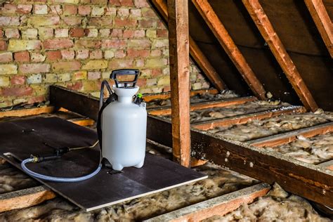 Image result for Tree Rot Treatment