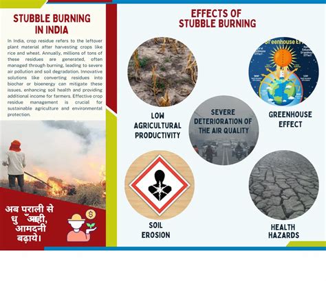 Pyrolysis Plant - Biochar Pyrolysis Plant Manufacturer from Jaipur