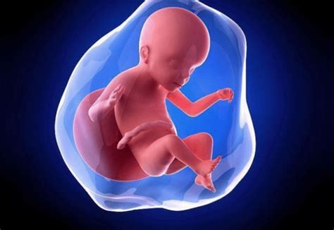 胎儿缺氧有这3个症状, 那是孩子在求救, 孕妇别大意_拼团团购网