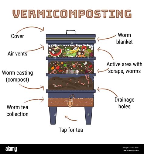 Infographic of vermicomposting. Components of vermicomposter. Vermicomposter schematic design ...