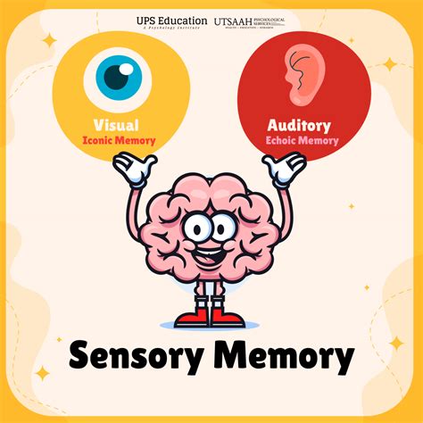 Understanding The Difference Between Iconic And Echoic