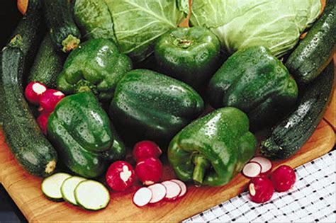 Zelena dijeta – COVERmagazin.com