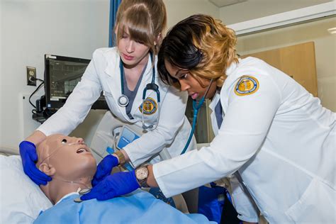 Respiratory Therapy Training Programs 的图像结果