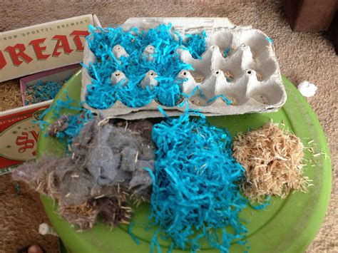 Image result for Easy Fire Starters