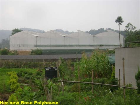 Bernadette Khongsngi Success Story - Department of Agriculture ...