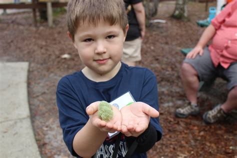 Free Summer Camp for Children with Epilepsy — Camp Boggy Creek