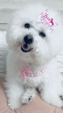 Image result for Mapping Spec for API Testing